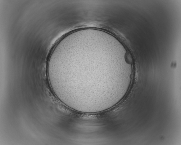 X0000114571174200911161240