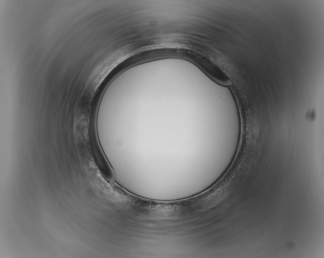 X0000114571177200911161240