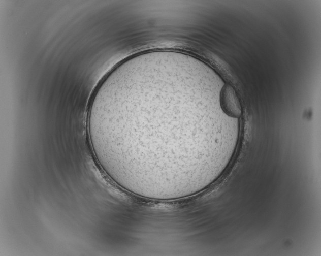 X0000114571178200911161240