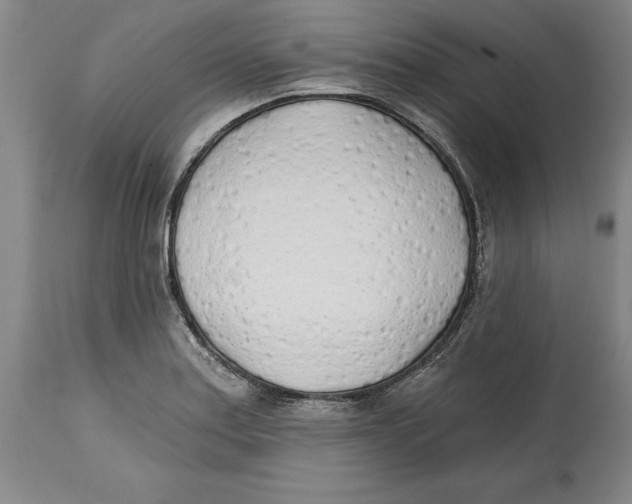 X0000114571179200911161240