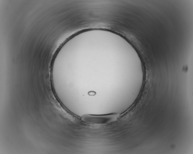 X0000114571184200911161240