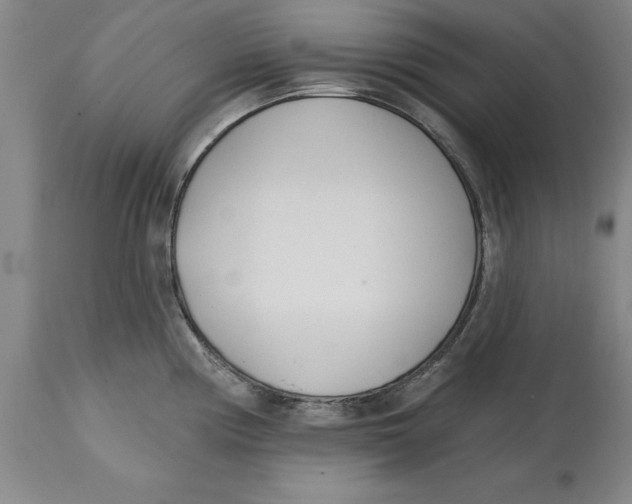 X0000114571194200911161239