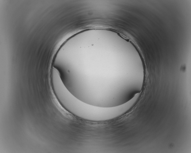 X0000114571195200911161239