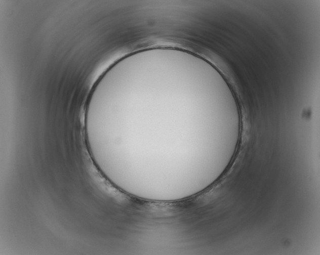 X0000114571198200911161239