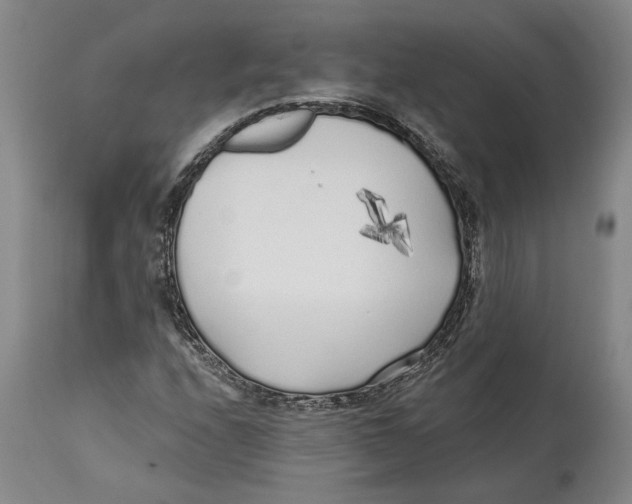 X0000114571208200911161239