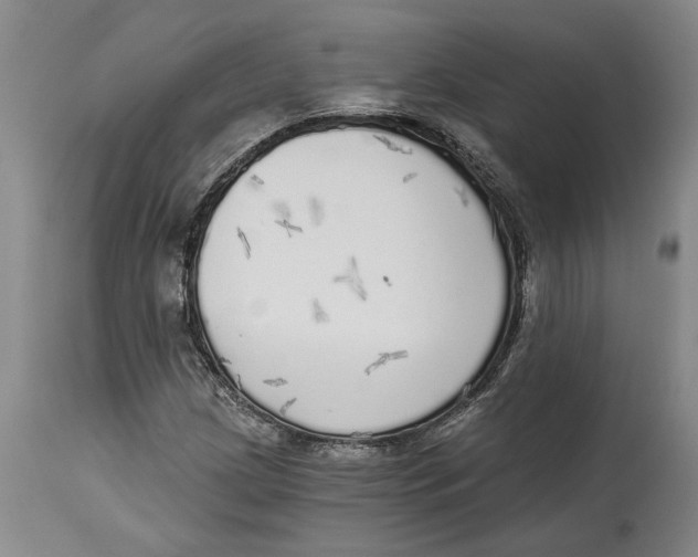 X0000114571209200911161239