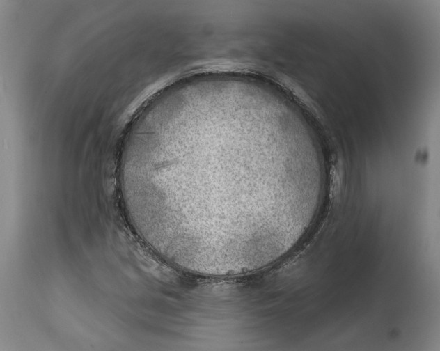 X0000114571213200911161239