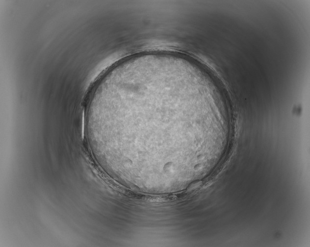 X0000114571219200911161239