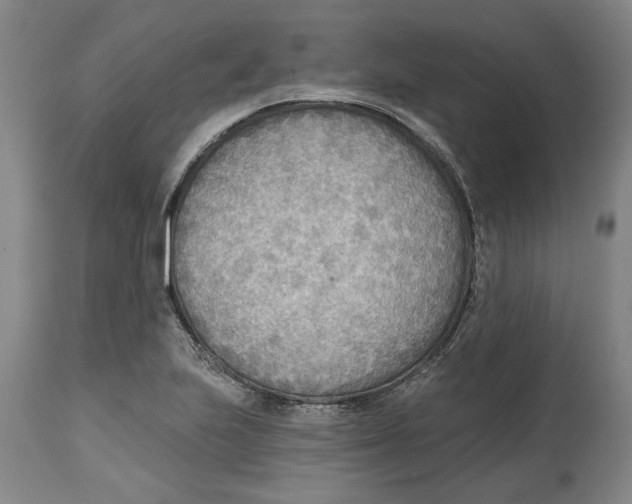 X0000114571223200911161239