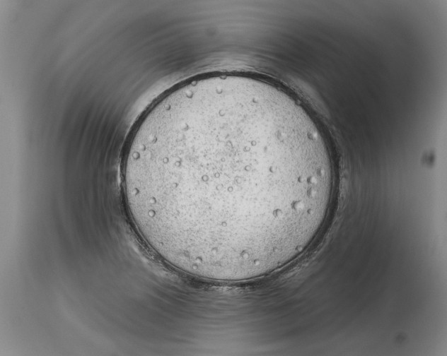 X0000114571226200911161239