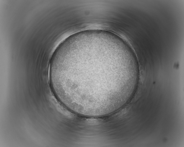 X0000114571227200911161239