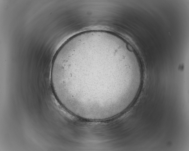 X0000114571228200911161239