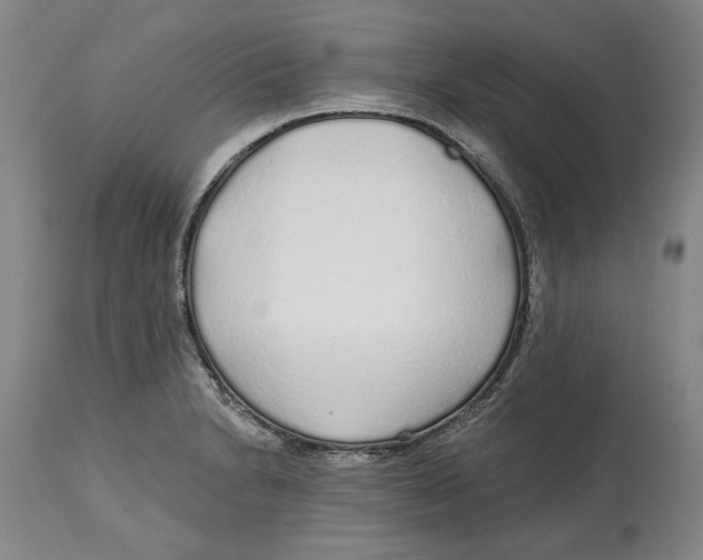 X0000114571230200911161239