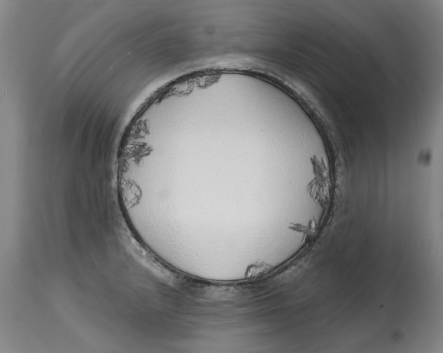 X0000114571232200911161239