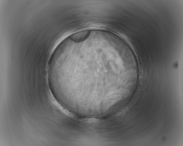 X0000114571235200911161239