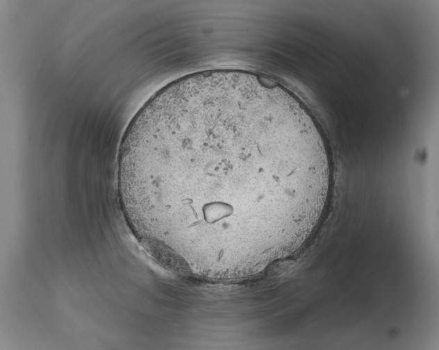 X0000114571236200911161239