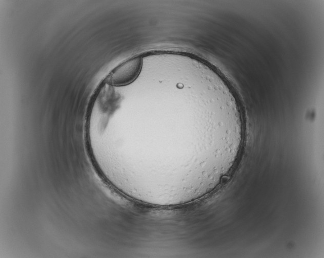 X0000114571237200911161239