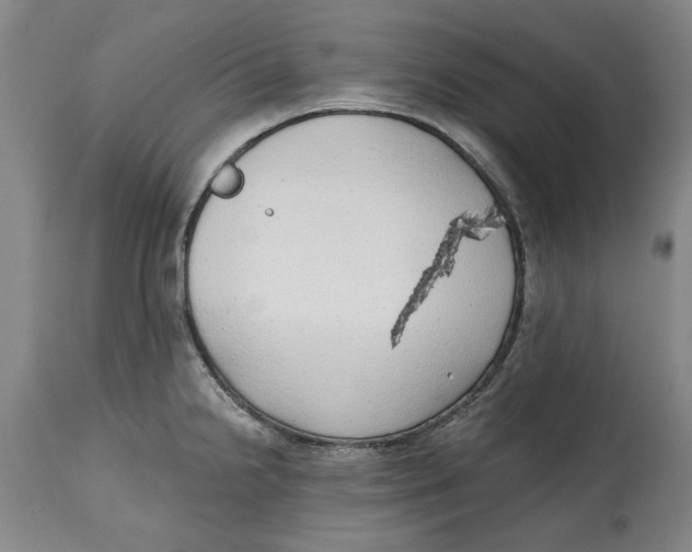 X0000114571238200911161239