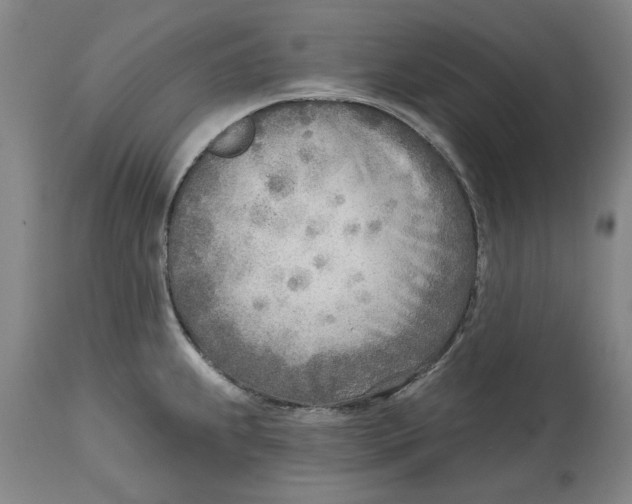 X0000114571239200911161239