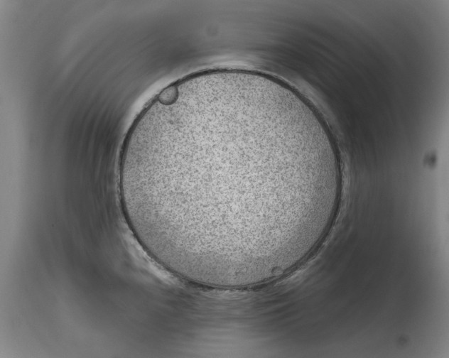 X0000114571240200911161239