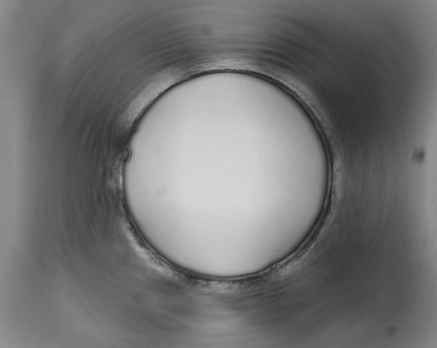 X0000114571241200911161239