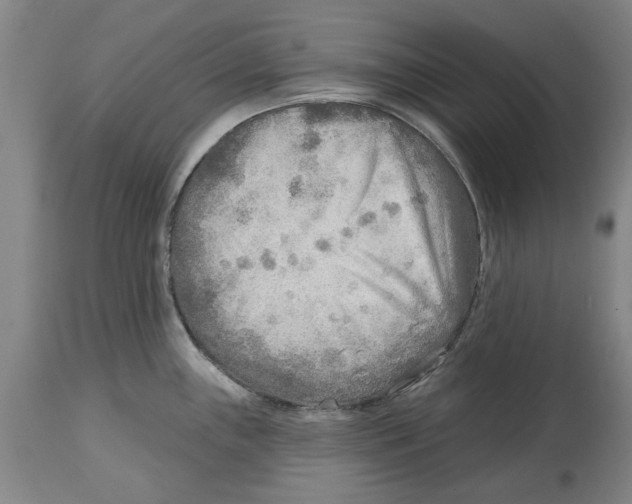 X0000114571243200911161239