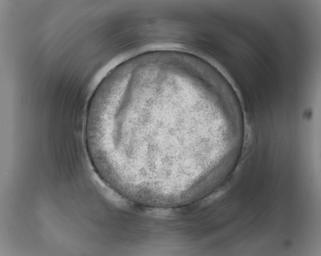 X0000114571245200911161239