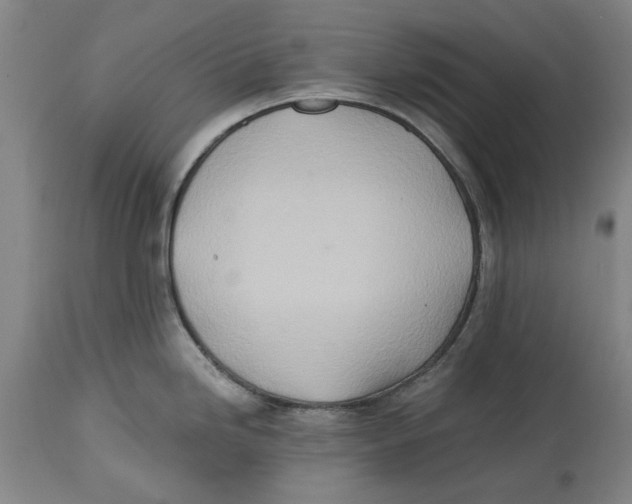 X0000114571246200911161239