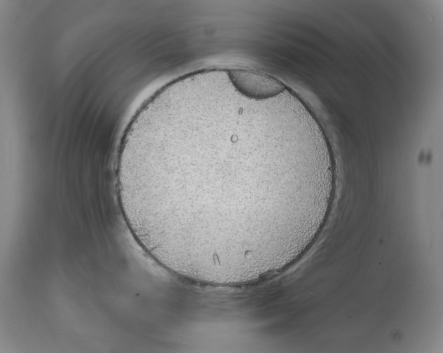 X0000114571248200911161239