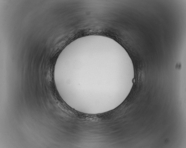 X0000114571250200911161238