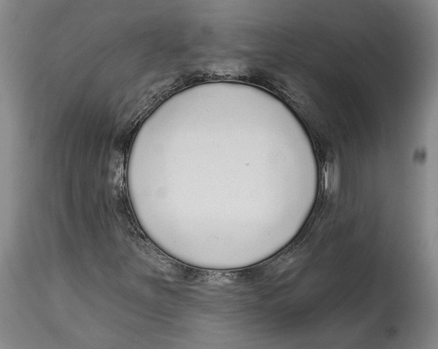 X0000114571251200911161238