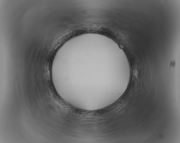 X0000114571252200911161238