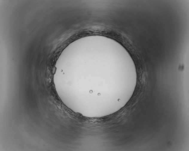 X0000114571253200911161238