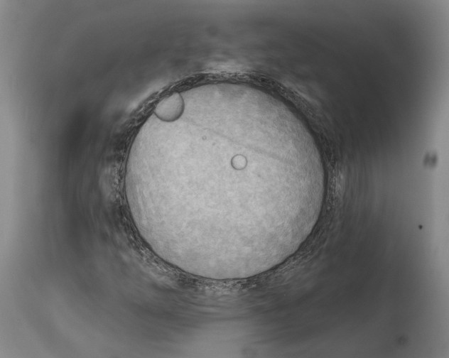 X0000114571254200911161238