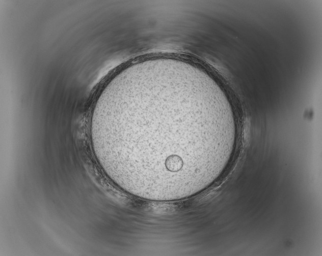 X0000114571258200911161238