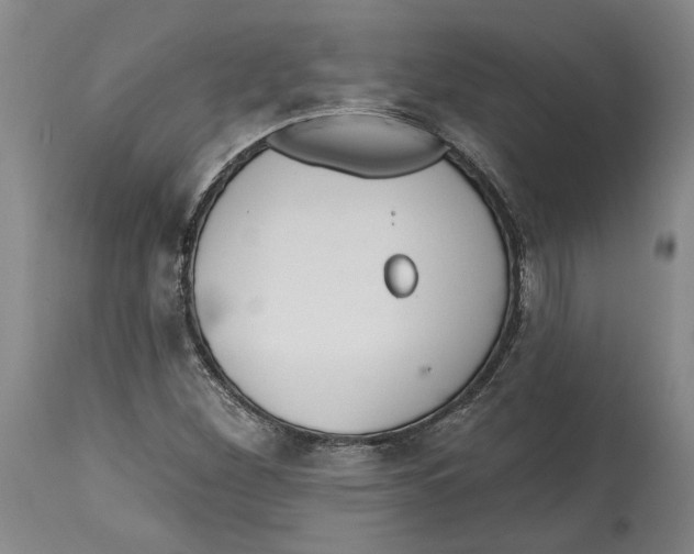 X0000114571260200911161238