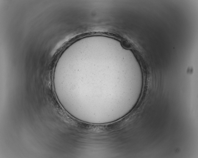 X0000114571262200911161238