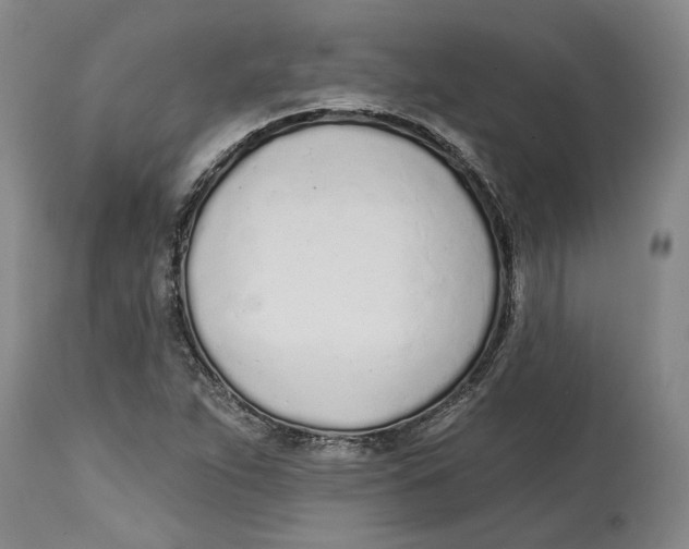 X0000114571263200911161238