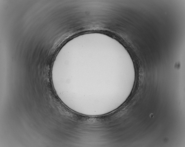 X0000114571265200911161238