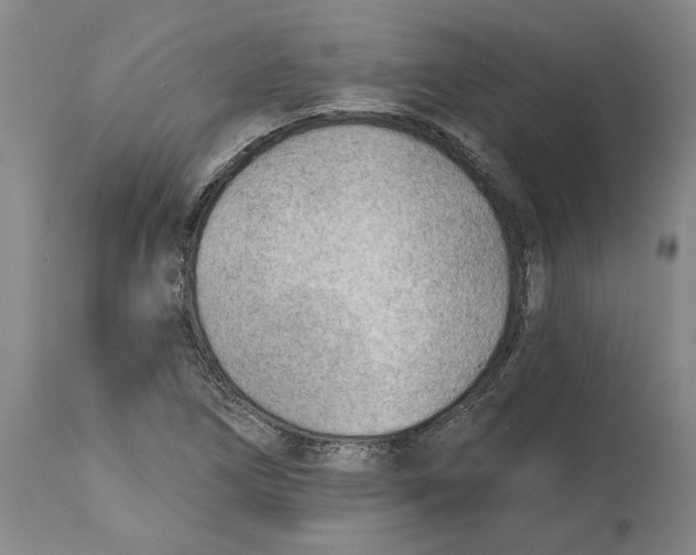 X0000114571266200911161238