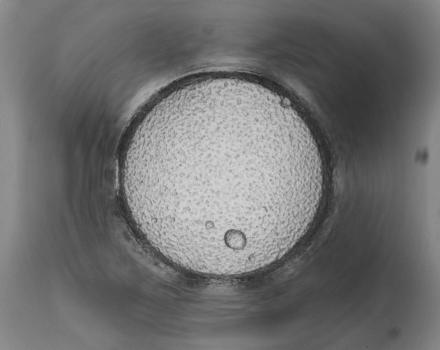 X0000114571267200911161238