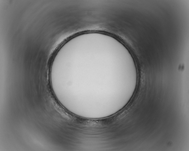 X0000114571270200911161238