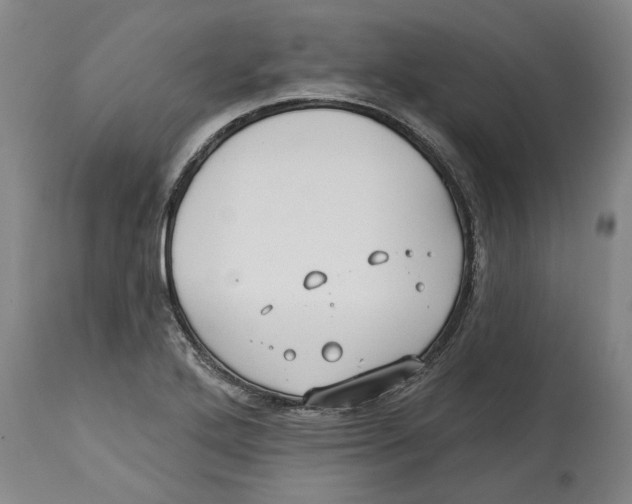 X0000114571272200911161238