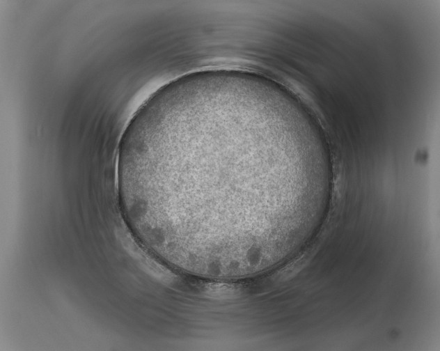 X0000114571275200911161238