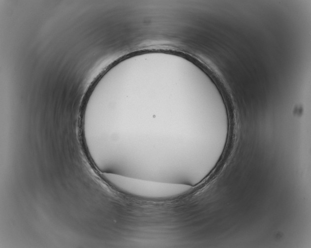 X0000114571277200911161238