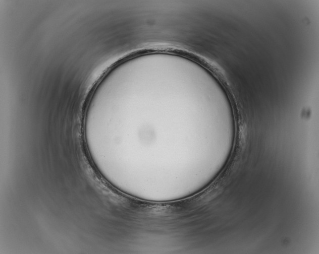 X0000114571279200911161238