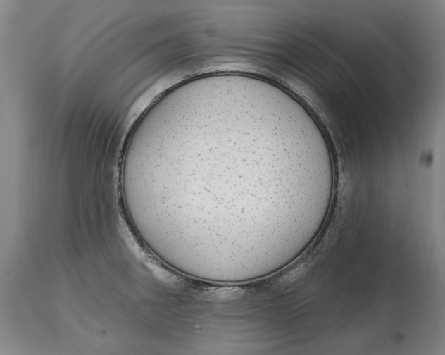 X0000114571282200911161238