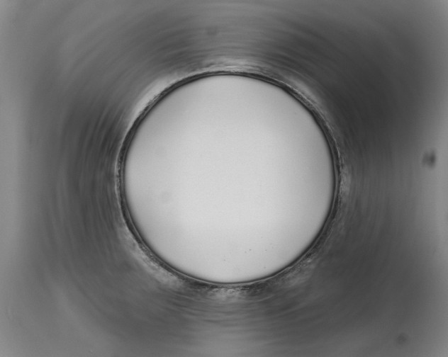 X0000114571283200911161238