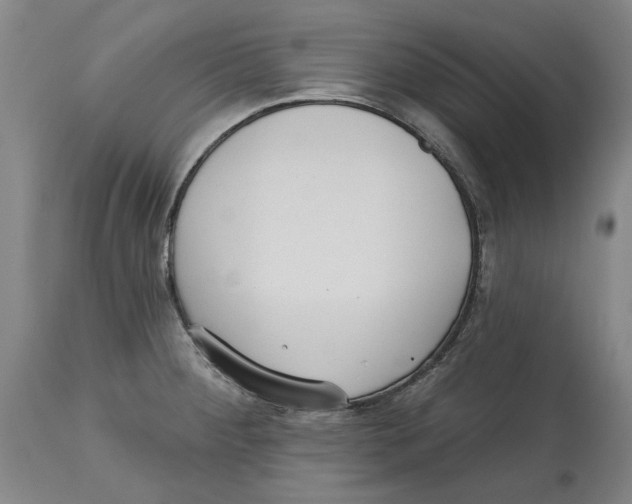 X0000114571284200911161238