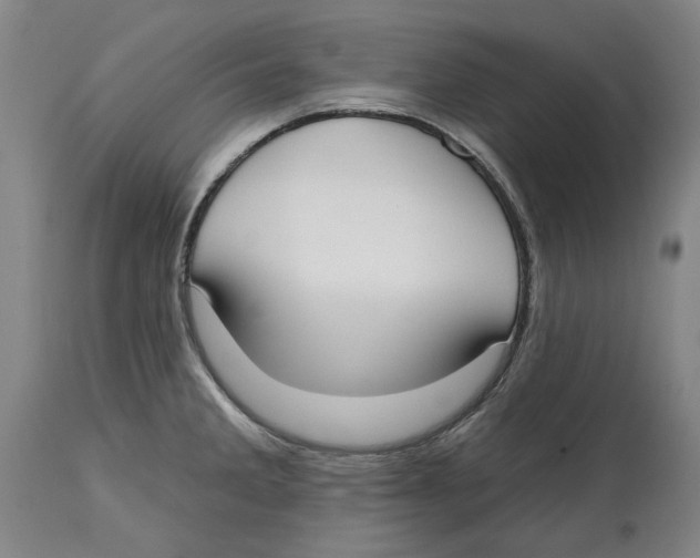 X0000114571285200911161238